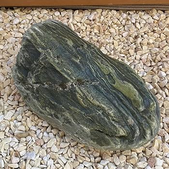 Amazon.co.jp: 青石 自然石 鑑賞石 天然石 盆石 水石 ウブ石 庭石