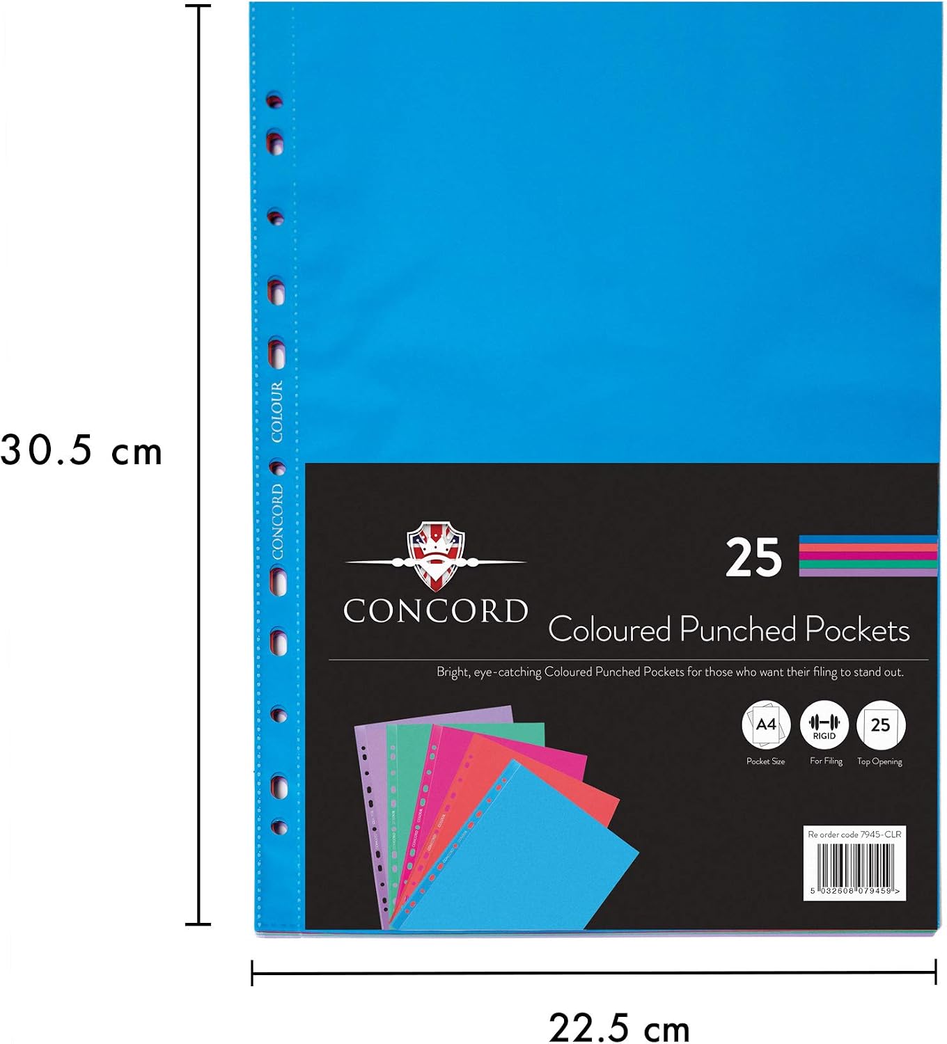 Pukka Pad, Concord A4 Coloured Punched Pockets - 1 Pack of 25 - Features 11 - Hole Europunch Compatibility - 5 Assorted Colours - Image 4