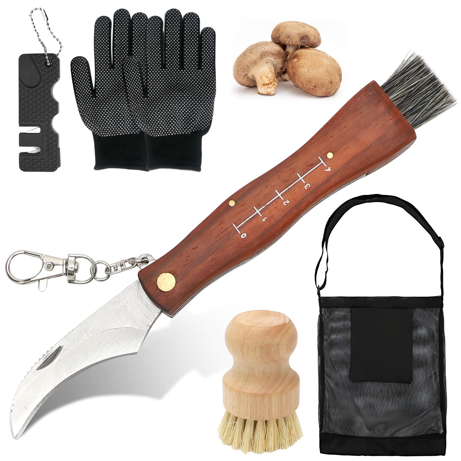 RANJIMA Coltello per Funghi, Coltello Funghi con Spazzola, Borsa da Caccia, Affilacoltelli, Pennello per Funghi, Coltello Pieghevole per Esterni con Manico in Legno, per la Raccolta dei Funghi