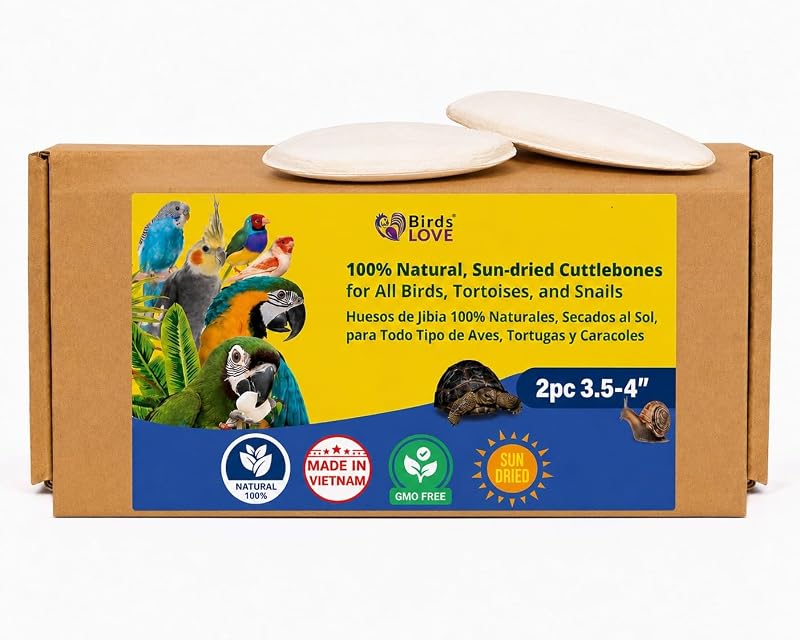 Osso de siba natural para aves com suporte Birds LOVE, 8,89–10,16 cm, pacote com 2