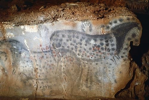 Arte rupestre Caballo Npaintings de caballos punteados en piedra caliza con huellas humanas en el Pech Merle Cave Lot Francia C22000 BC Póster