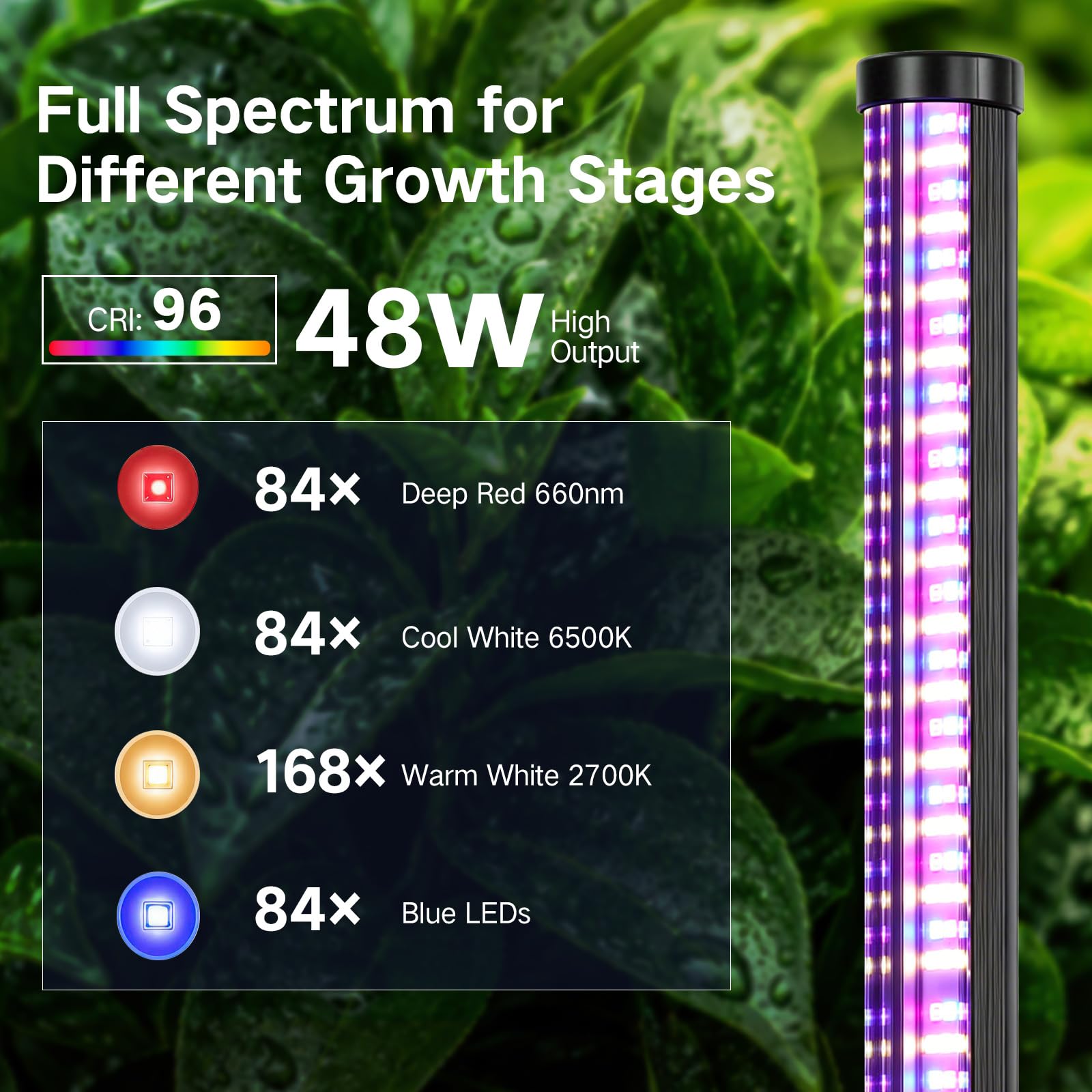 OUTON Pflanzenlampe mit Ständer, 60W Vollspektrum Pflanzenlicht, 195 cm | 560 LEDs, 6500K, 3 Lichtmodi, 10 Helligkeitsstufen, Timer 4/8/12 Std., Fernbedienung, Dreibeinstativ, bis 195 cm