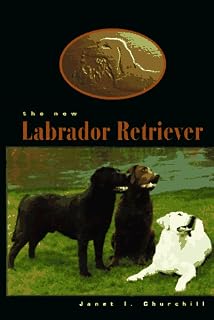 The New Labrador Retriever