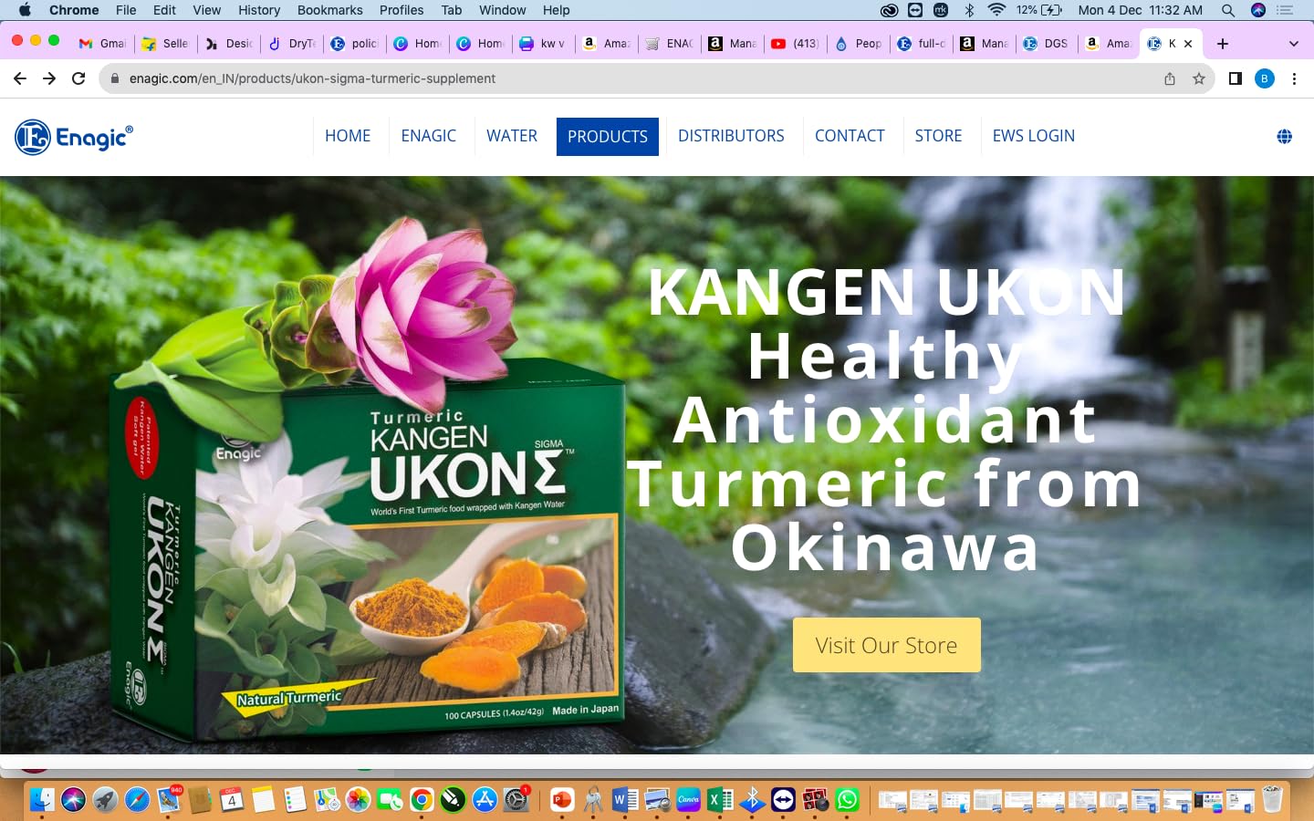 Generic Kangen Ukon DD Tumeric Sigma 100 Capsules (New