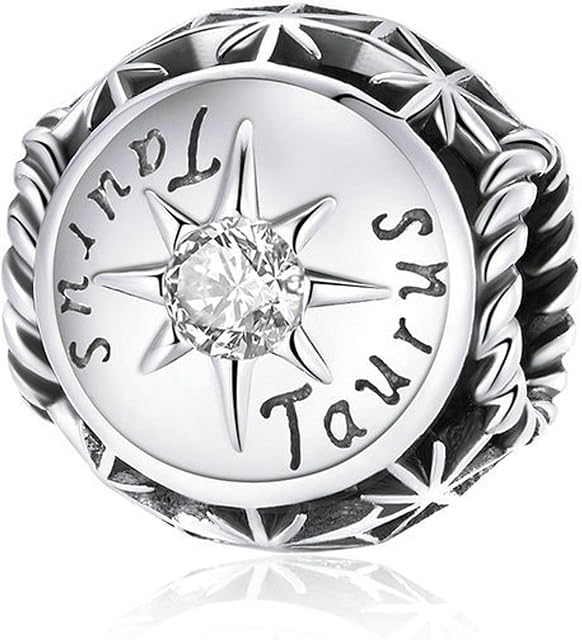 YOUFENG Jewellery S925 Sterling Silver Charms for Charms Bracelet Birthstone Charms Astrology Constellation Horoscope Charms for Women