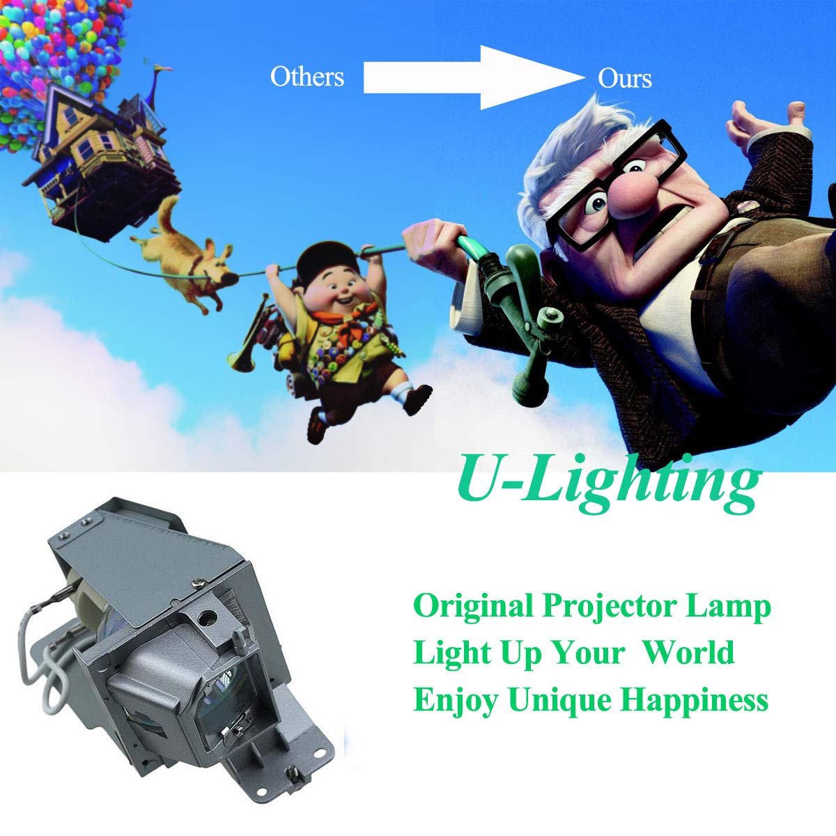 Aimple BL-FU195C Lampe De Rechange Compatible Optoma HD142X HD27 H183X DS348 W331 S321 DX349 HD140X - Haute Qualité 3000 Heures