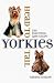Yorkies Head to Tail: The Essential Care Guide