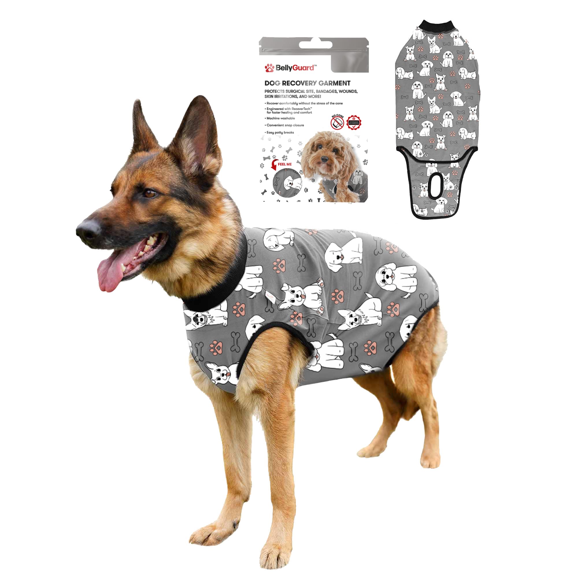 BellyGuard Dog Surgery Recovery Suit, Dog Onesie for Post-Op Care, Recovery Apparel for Female and Male, Surgical Body Cover for Canine Healing