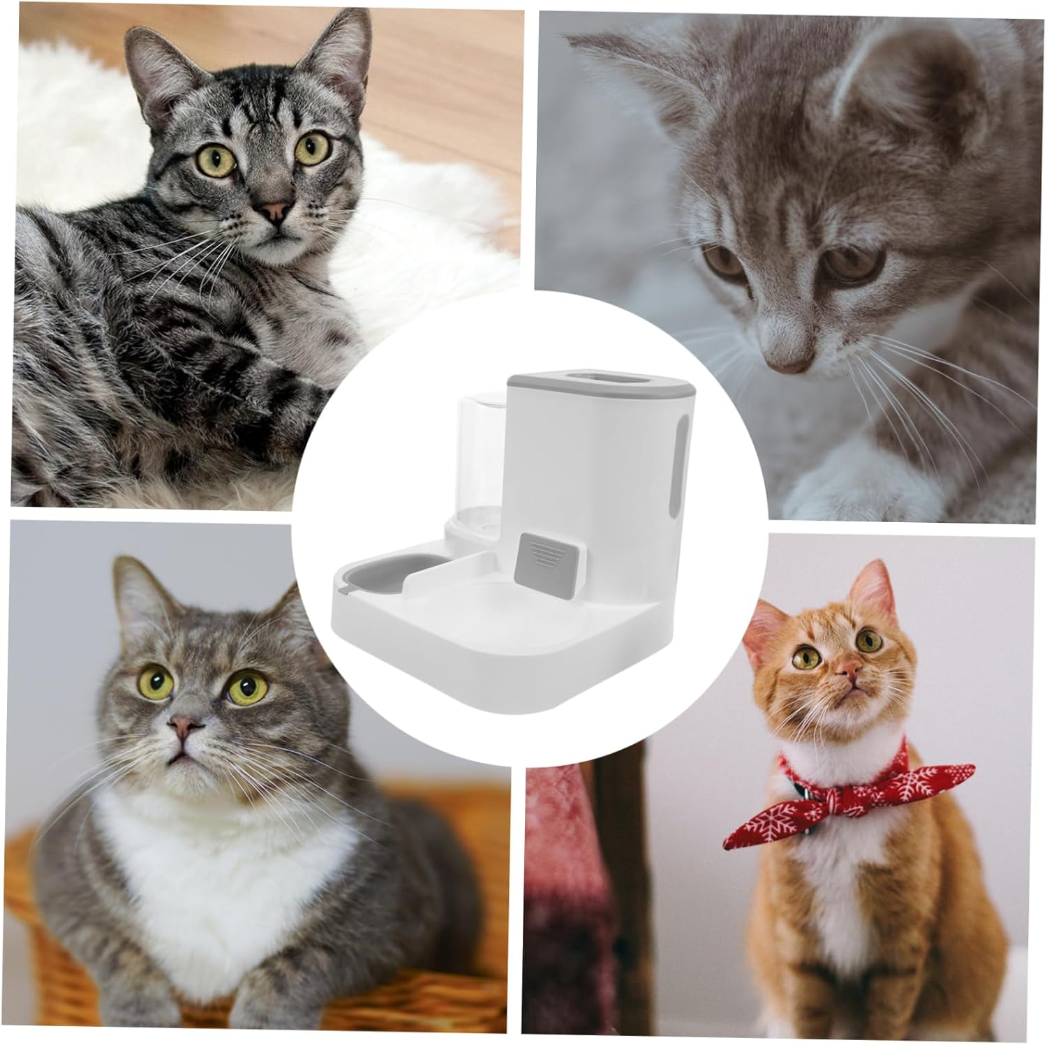 Totority Automatic Dog Water Dispenser Multi-pet Feeder Large Capacity Detachable Bowl Safe Easy to Clean