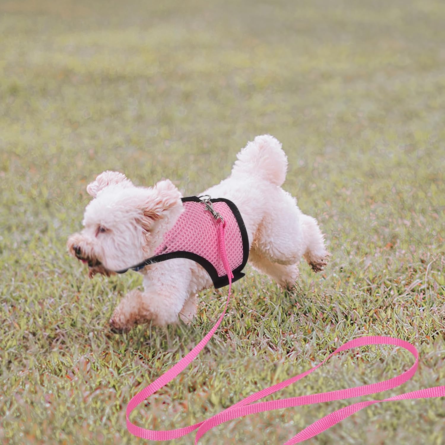 2pcs Adjustable Small Pet Harness Leash Set for Kittens and Small Pets, Breathable Mesh Cloth Vest with Foldable Design, Easy to Carry for Outdoor Travel and Walking