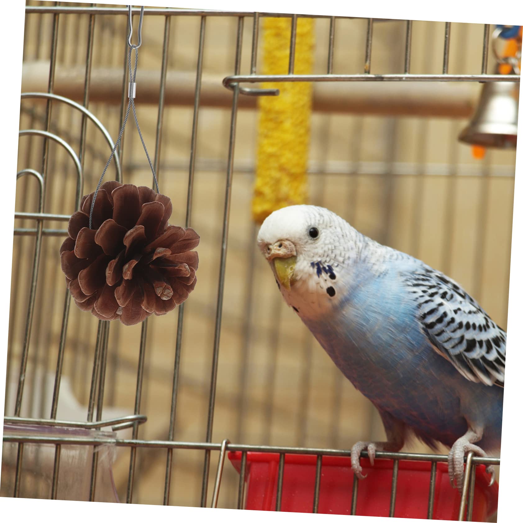POPETPOP 30pièces Jouet à Mâcher pour Oiseaux Jouet Pomme De Pin Suspendu pour Perruches Et Perroquets Accessoire De Jeu Sûr Et