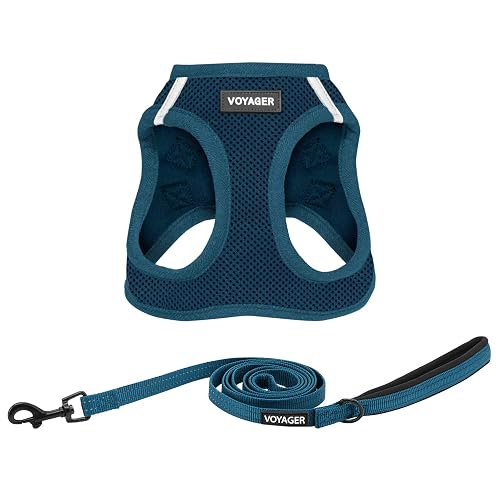 Best Pet Supplies Voyager Step-in Air