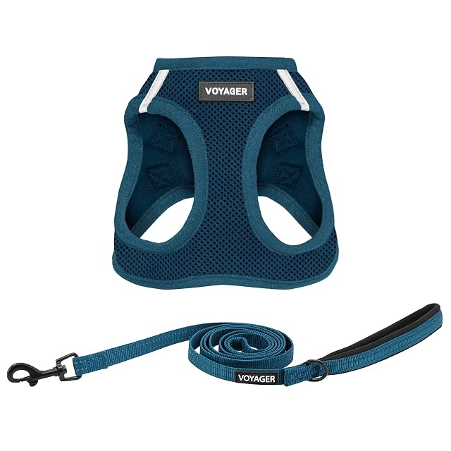 Best Pet Supplies Voyager Step-in Air
