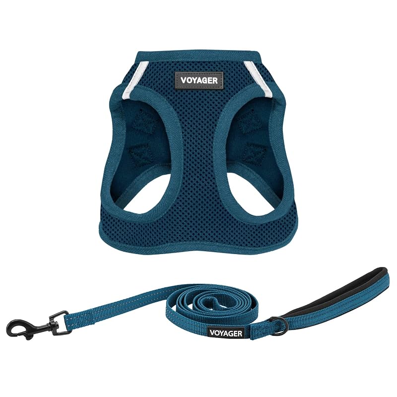 Peitoral Vest Step-In Air de Malha com Faixas Refletivas e Guia de 152 cm Best Pet Supplies, Azul, M (Peito: 40,64–45,72 cm)