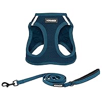 Best Pet Supplies Voyager - Pettorina step-in air in rete e guinzaglio riflettente per cani da 1,5 m