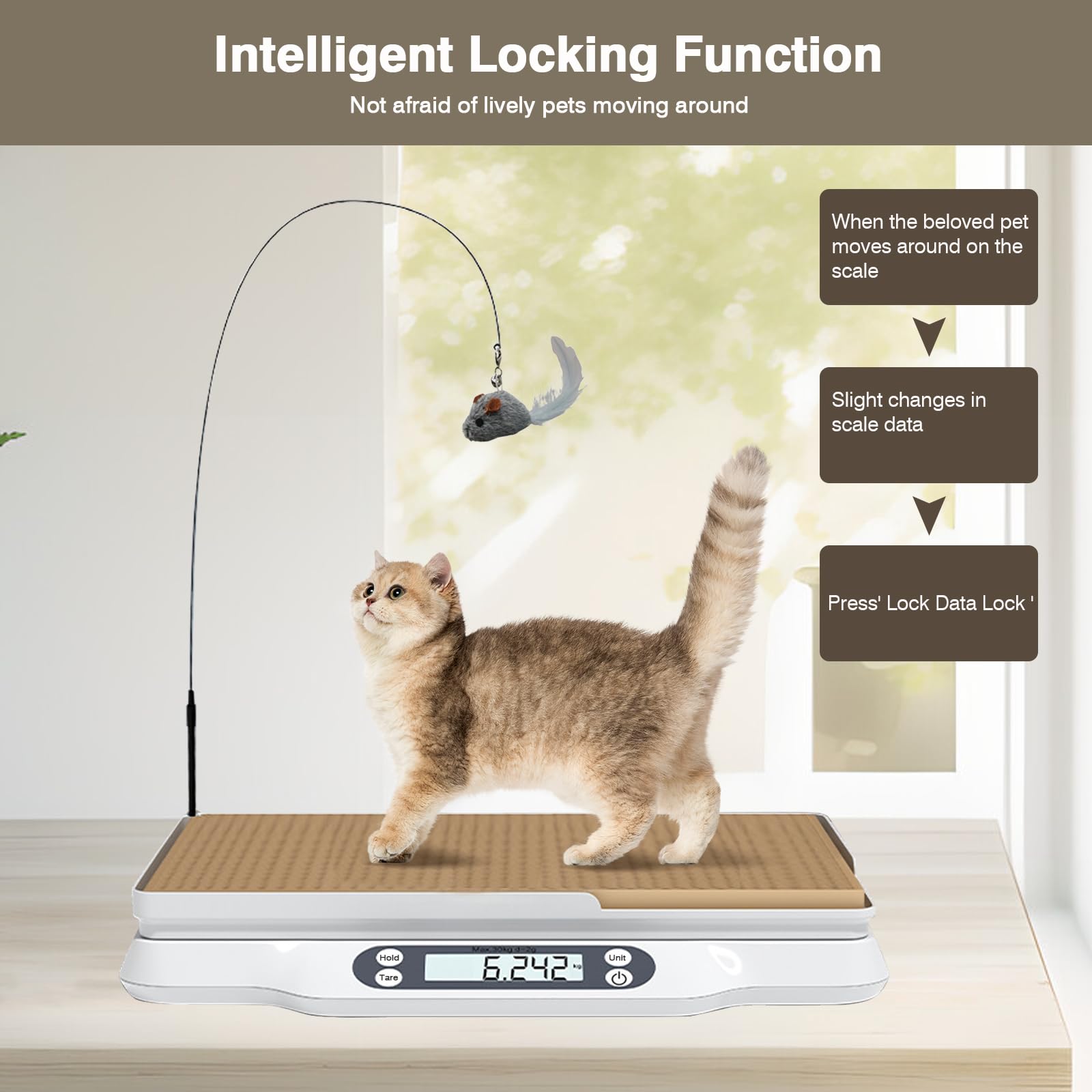 Báscula digital para mascotas con 2 bandejas extraíbles, LCD, 4 modos de pesaje kg/oz/lb/ml