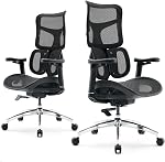 SIHOO Doro C300 Ergonomic Office Chair with Ultra Soft 3D Armrests, Dynamic Lumbar Support for Home Office Chair, Adjustable Backrest Desk Chair, Swivel Big and Tall Computer Chair (Grey)
