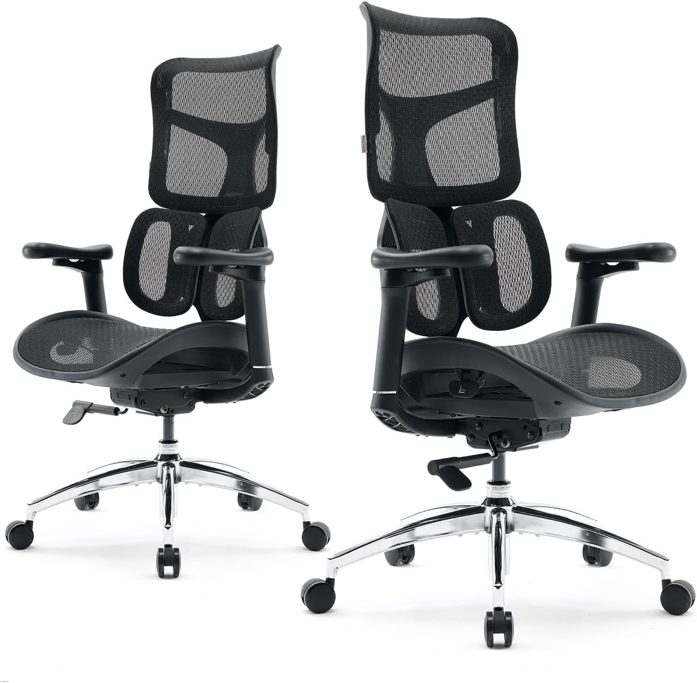SIHOO Doro S100 Ergonomic Office Chair, Dual Dynamic Lumbar Support, Black