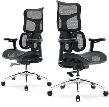 SIHOO Office Chair Ergonomic-With Dual Dynamic Lumbar Support Desk Chair with 5-way Adjustable Backrest Office Chair with 4 D Coordinated Armrests (S100 Black)