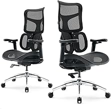 SIHOO Doro S100 Ergonomic Office Chair - with Dual Dynamic Lumbar Support, 5 Levels Adjustable Backrest, 4D Coordinated Armrests Suitable for Home Office (S100 Black)