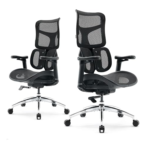 SIHOO Doro S100 Chaise de Bureau Ergonomique - avec Un Soutien Lombaire Dynamique Double, Dossier réglable sur 5 Niveaux, accoudoirs coordonnés en 4D, Angle d'inclinaison Maximal de 135 degrés, Noir - Noir