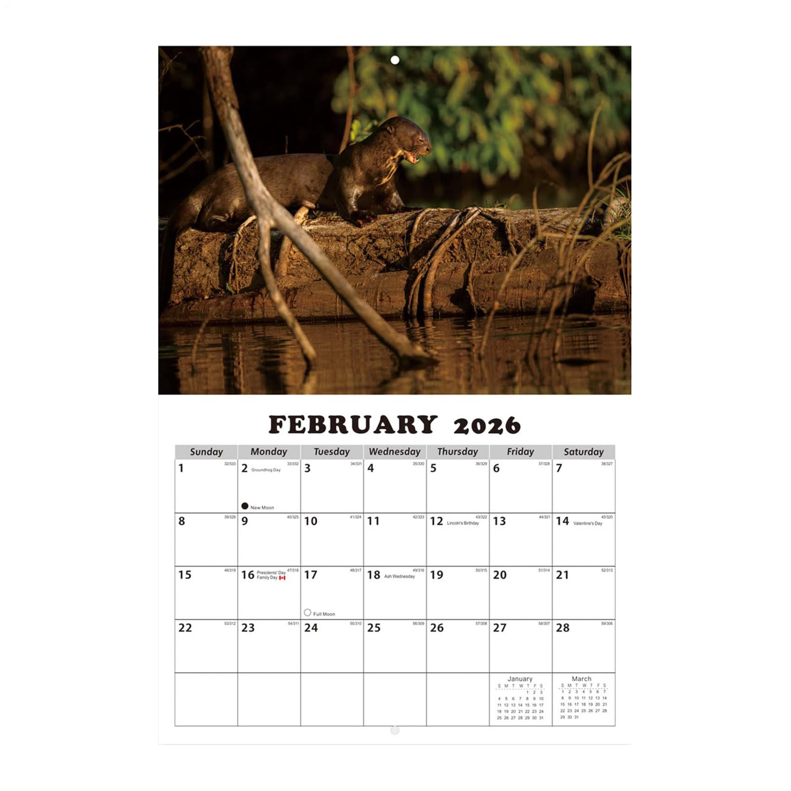 12 Monate Wandkalender,Englischer Terminplaner - 12 Monate Kalender für | die Wandmontage,Für Klassenzimmer Wohnzimmer Studentenzimmer Arbeitszimmer Schüler Lehrer