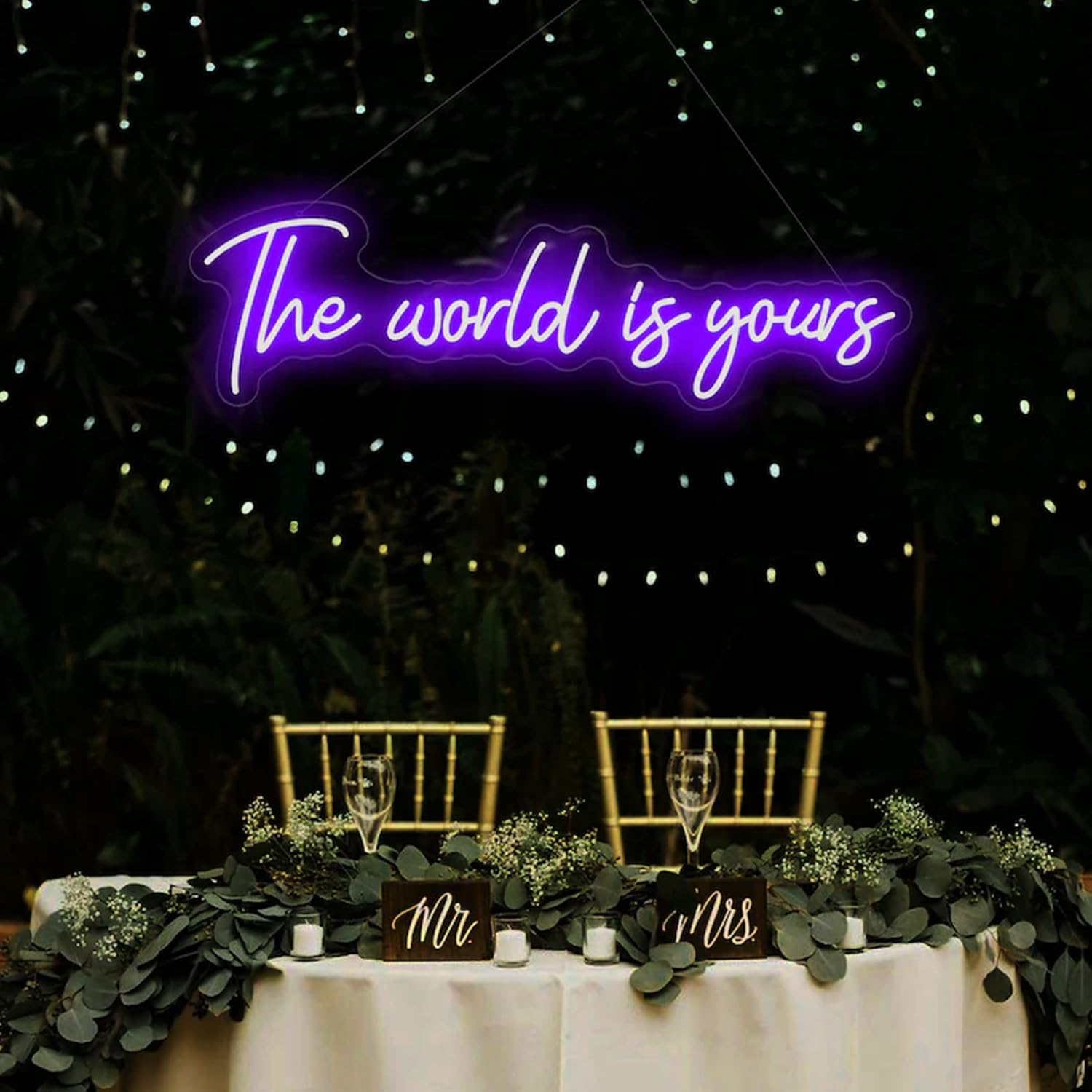 HFHungkeong The World Is Yours Neon Lights Sign Dimmable Led Neon Sign USB Powered Wall Art Lamp Aesthetic Decor for Living Room,Bedroom,Office,Birthday,Wedding(15.7x5.9inch)