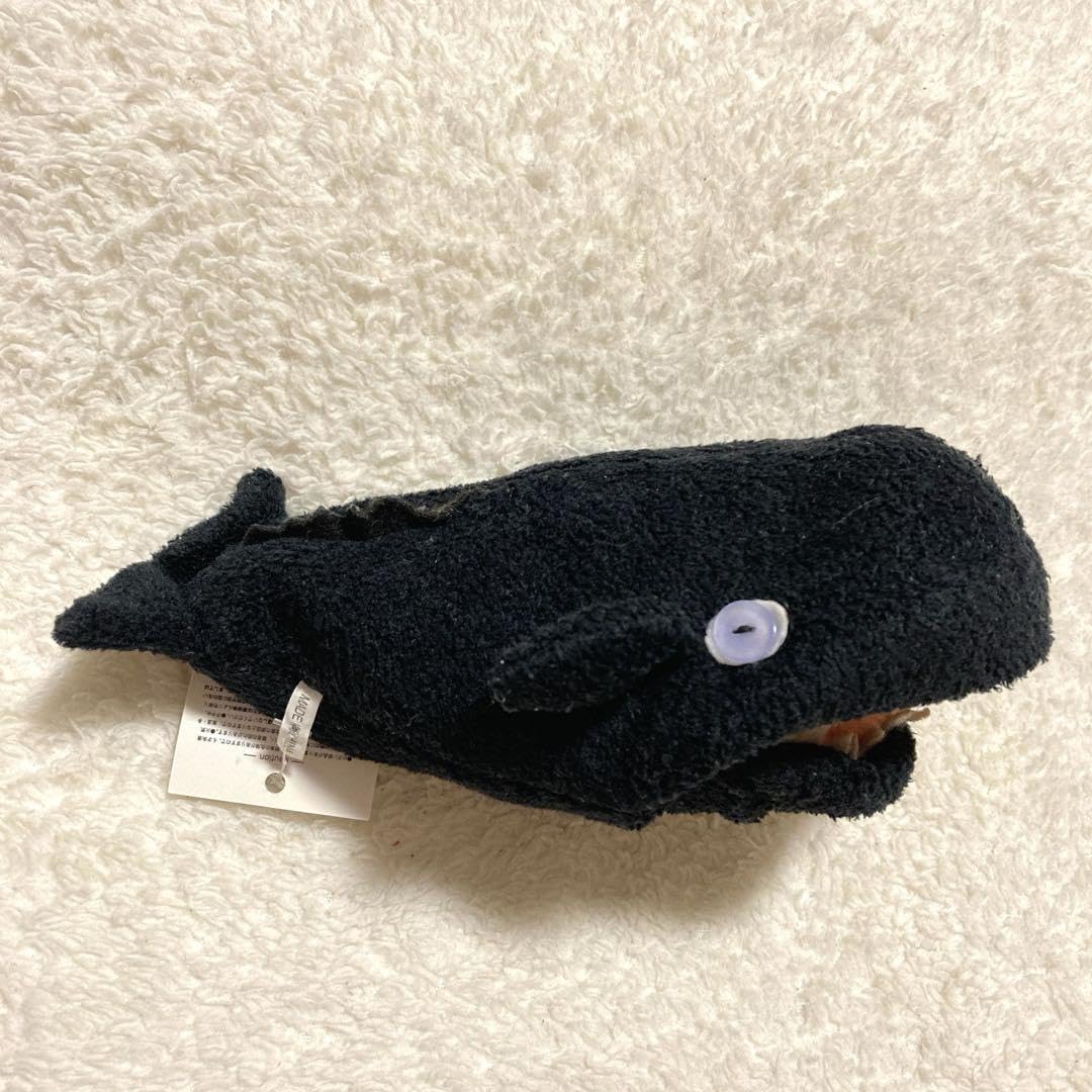 Amazon.co.jp: ダイオウイカ vs マッコウクジラ リバーシブル