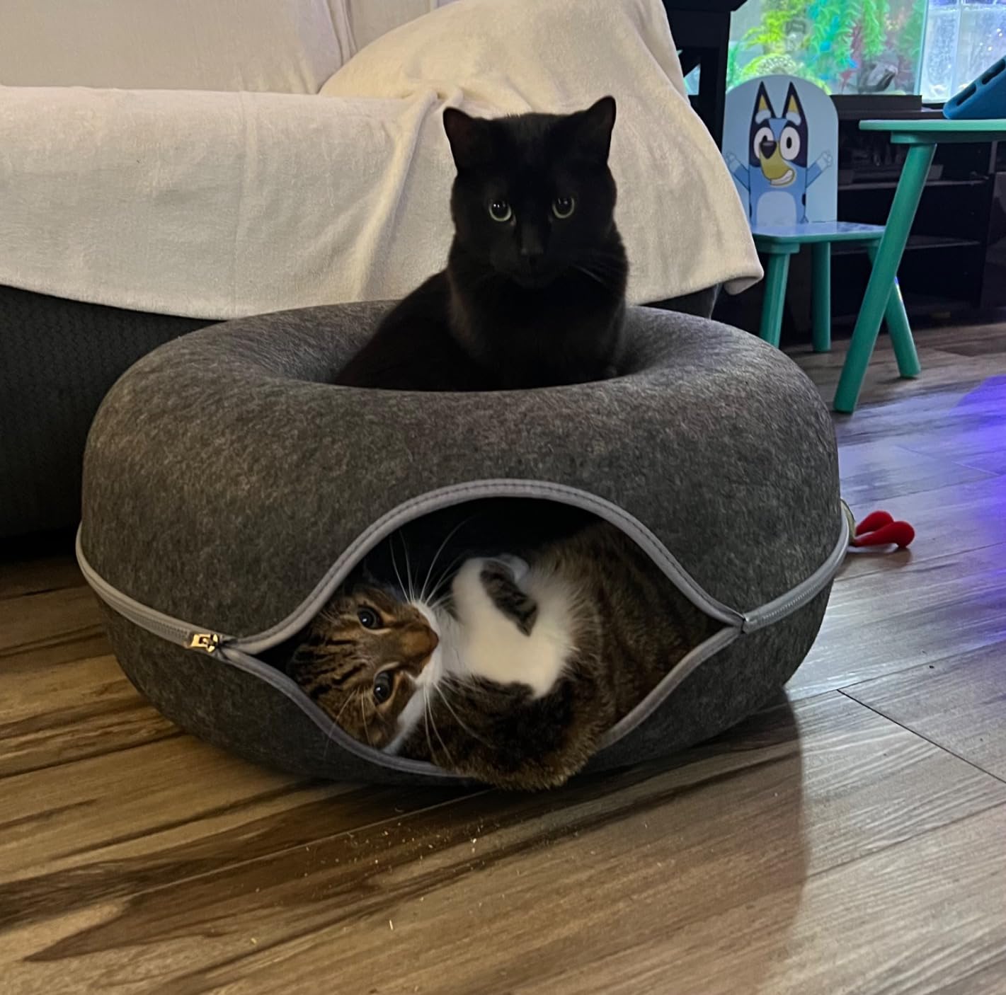 Large Cat Tunnel Bed for Indoor Cats with 3 Toys, Scratch Resistant Donut Cat Bed, Up to 30 Lbs (L 24x24x11, Dark Grey) photo review