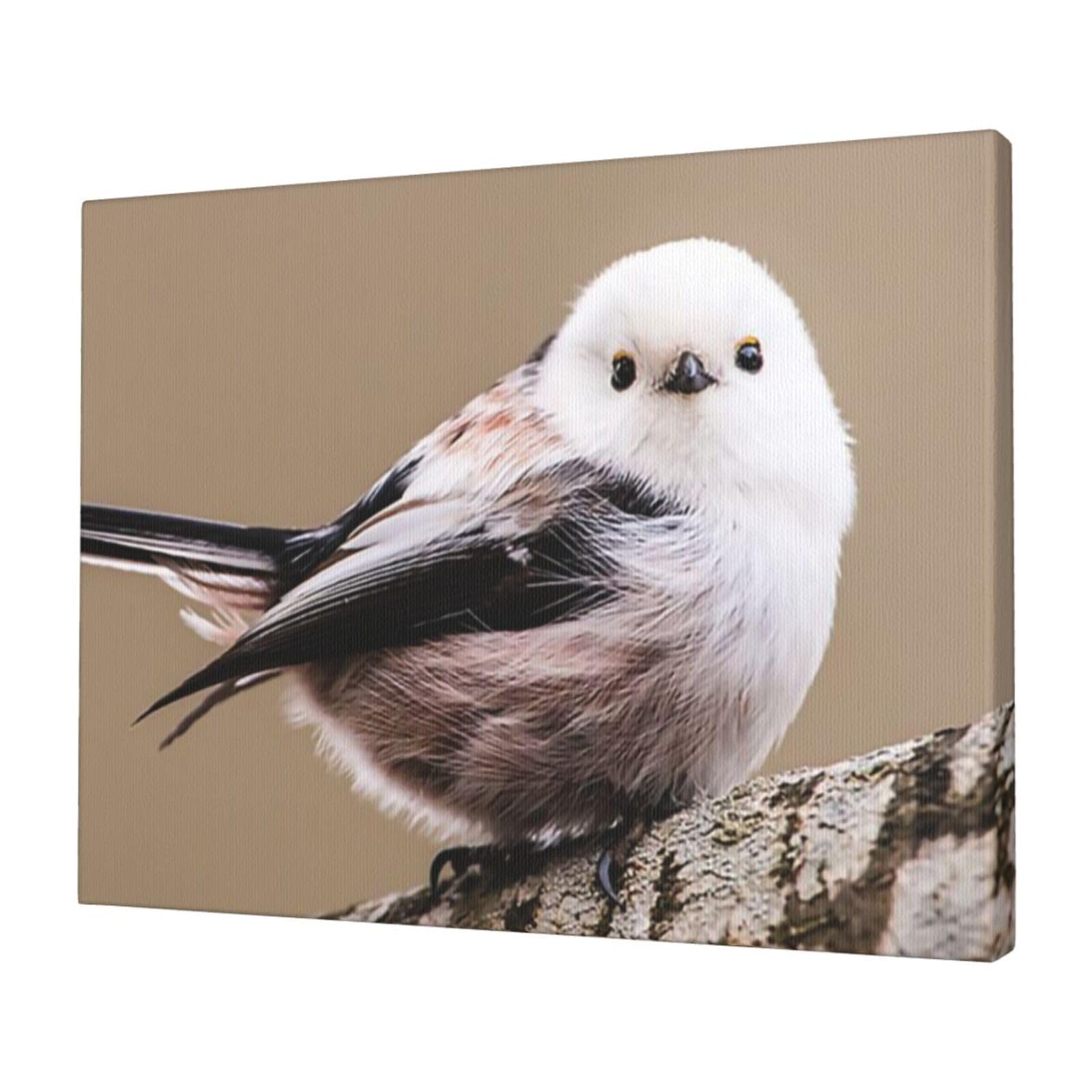 絵　絵画　動物　鳥　アクリル画　アート　インテリア　雑貨　おしゃれ　かわいい　鳥 Amazon.co.jp: 絵 絵画 動物 鳥 アクリル画 アート インテリア