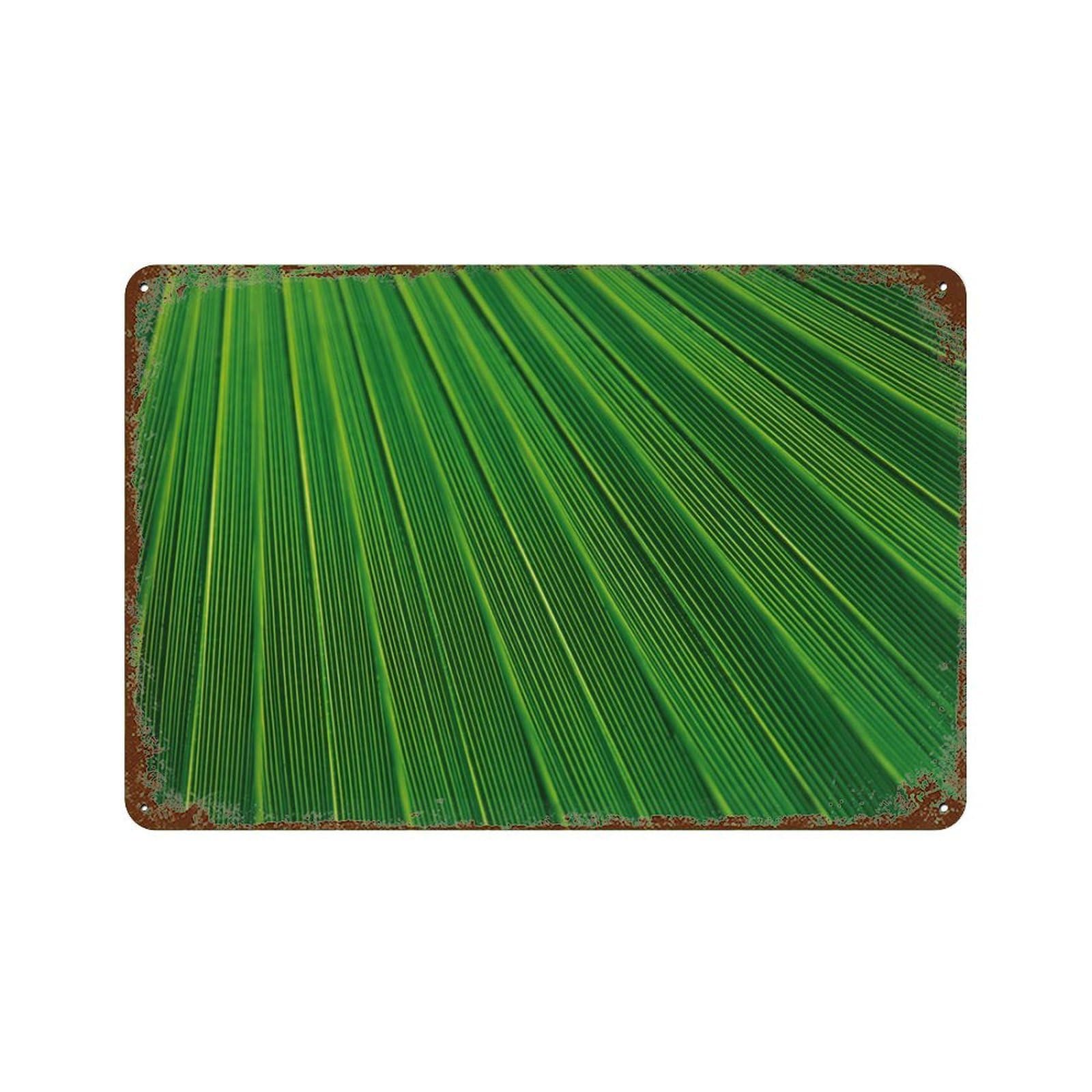 xiaoxiaoshen Green Leaves Botanical Tropical Decor Wall Decor Art Metal Tin Poster Modern Home Decor Art Home Bar Shop Decorations Vintage Sign 20x30cm