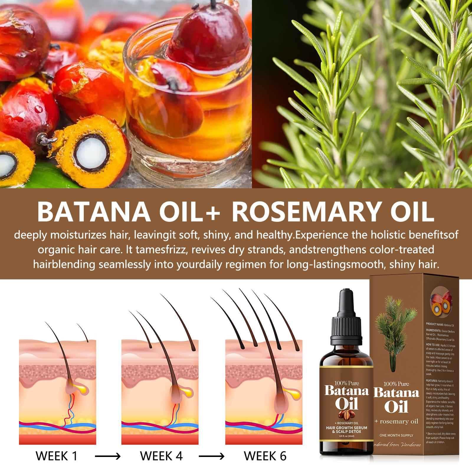 Batana Oil with Rosemary for Hair Growth 100% Organic Batana Oil from Honduras with Rosemary, Reduce Hair Loss - Image 3