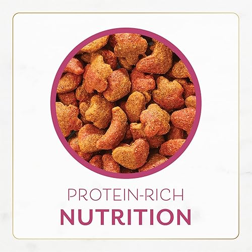 Miniatura 7 de Fancy Feast Purina Filet Mignon - Alimento seco para gatos con sabor a mariscos y camarones reales, 16 onzas (paquete de 3)