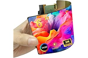 Flexible Transparent OLED Screen