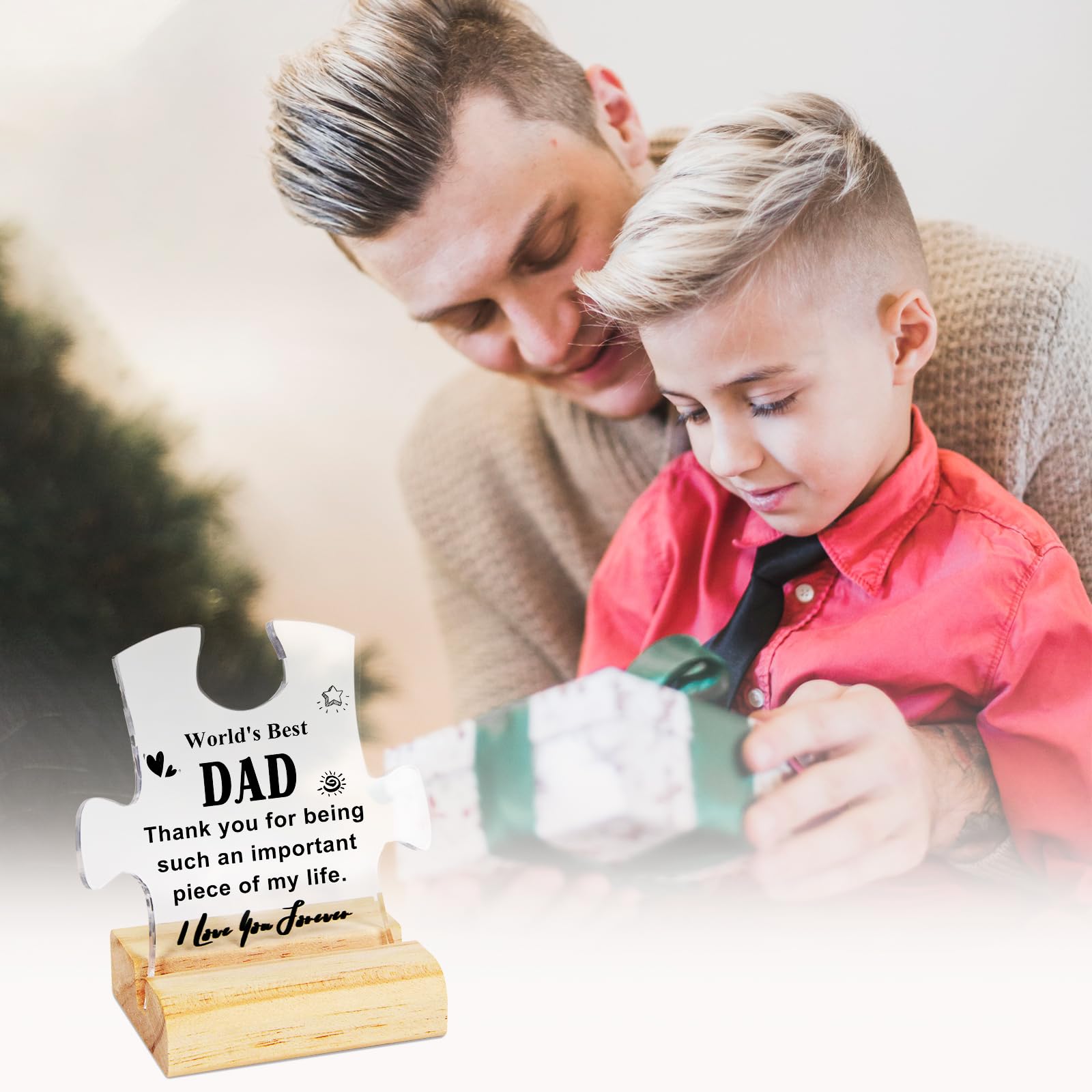 Regalo Papà Regalo Adornos de Bloques, Originali Regali Papa Compleanno,San Valentino, Thanksgiving Natale Festa del Papà Regali Targa Festa del Papa Pasqua