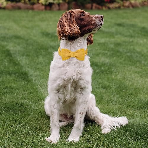 Miniatura 317 de Collar de perro con bandera estadounidense con pajarita, collar patriótico para perros pequeños, medianos y grandes, talla XS