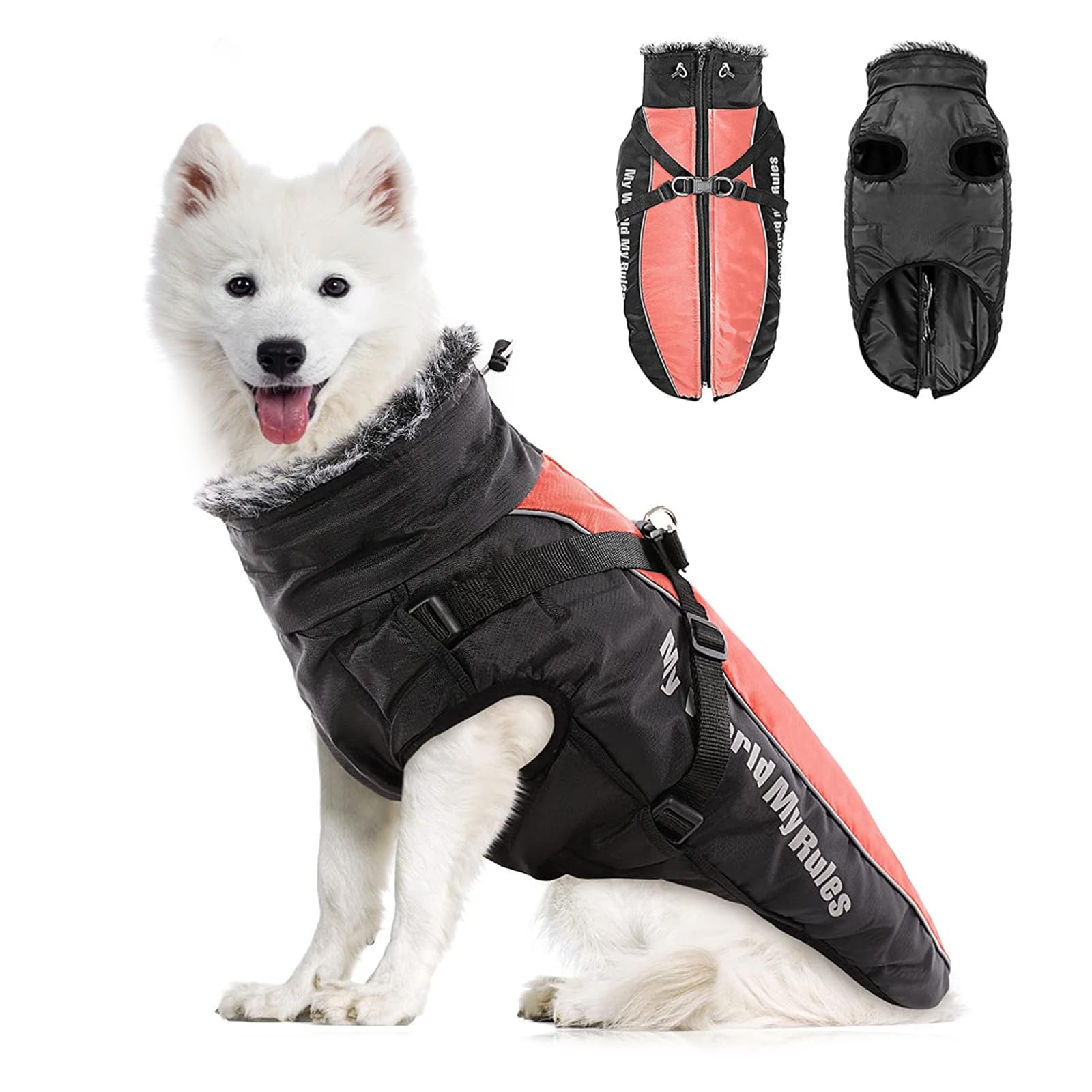 Honden - Bruin - Keeshond - Warm - Dierenkleding kopen? | Korting