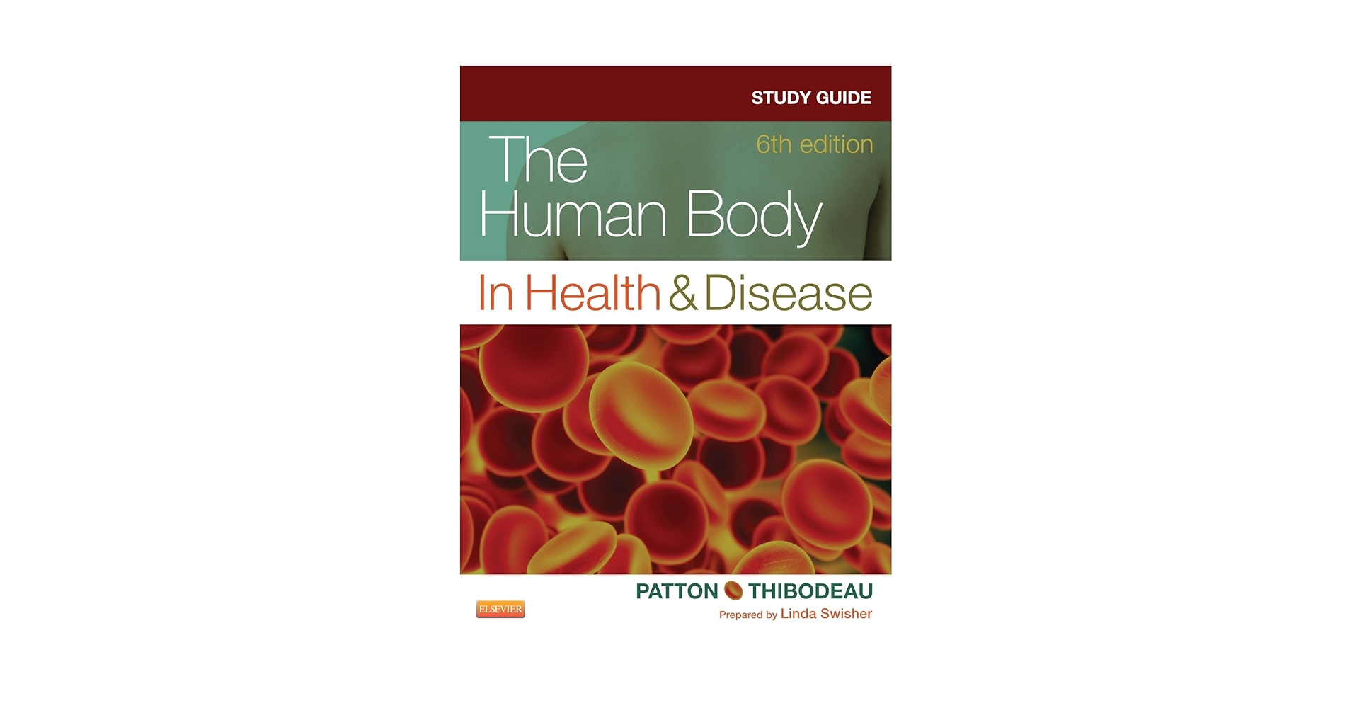 値下げ❗️The Human Body in Health and Illness The Human Body in Health and Illness - 7th Edition