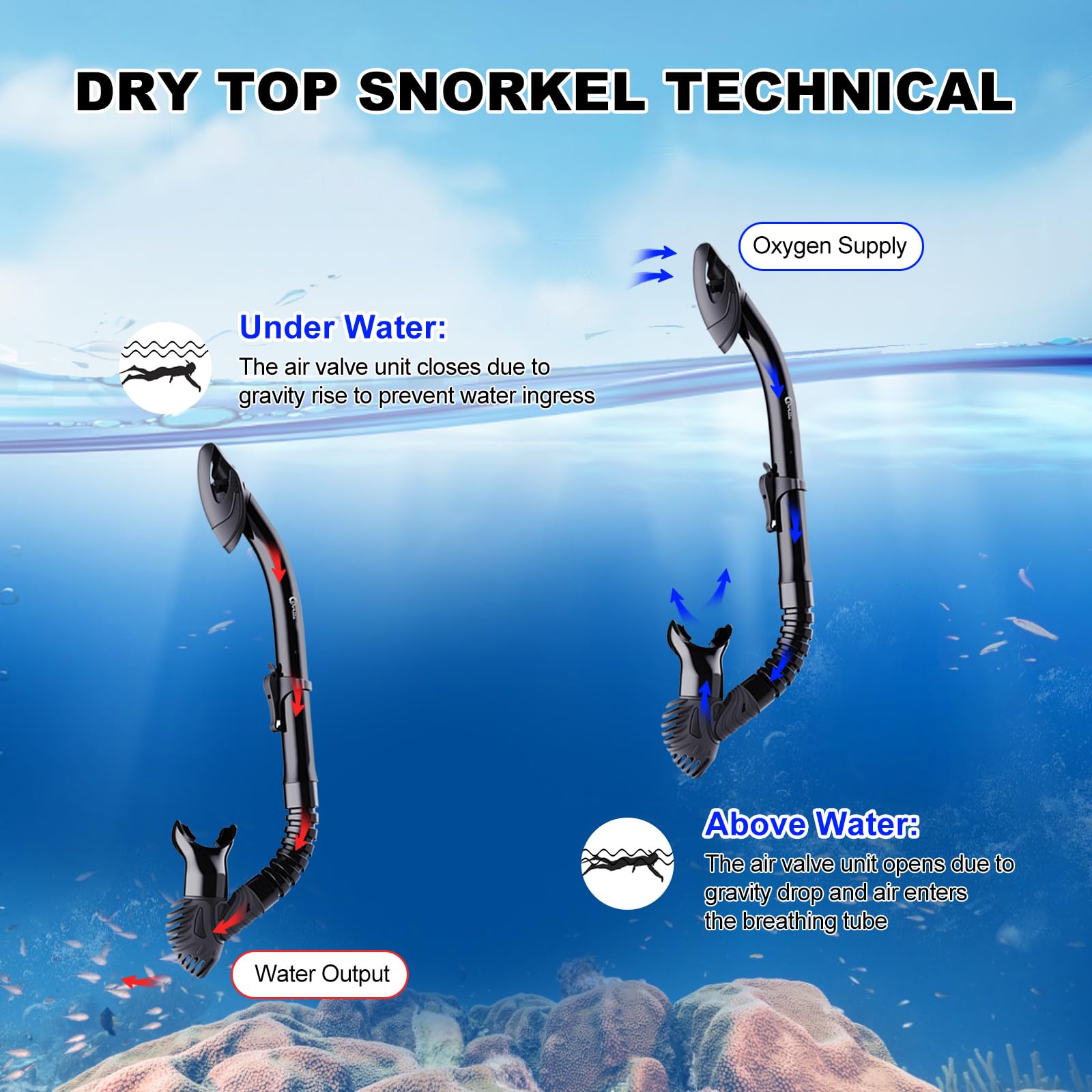 Dorlle Maschera Subacquea Adulti, Maschera Snorkeling in Vetro Temperato Maschera Panoramica Antiappannamento Con Ampia Visuale e Tubo Snorkel Premium Antigoccia per Giovani e Adulto