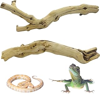 Reptile Branch Decor 2 Pack Snake Climbing Wood Branches Lizard Habitat Decorations Terrarium Natural Forest Tree Trunk Ornament for Bearded Dragon Geckos Chameleon Frog