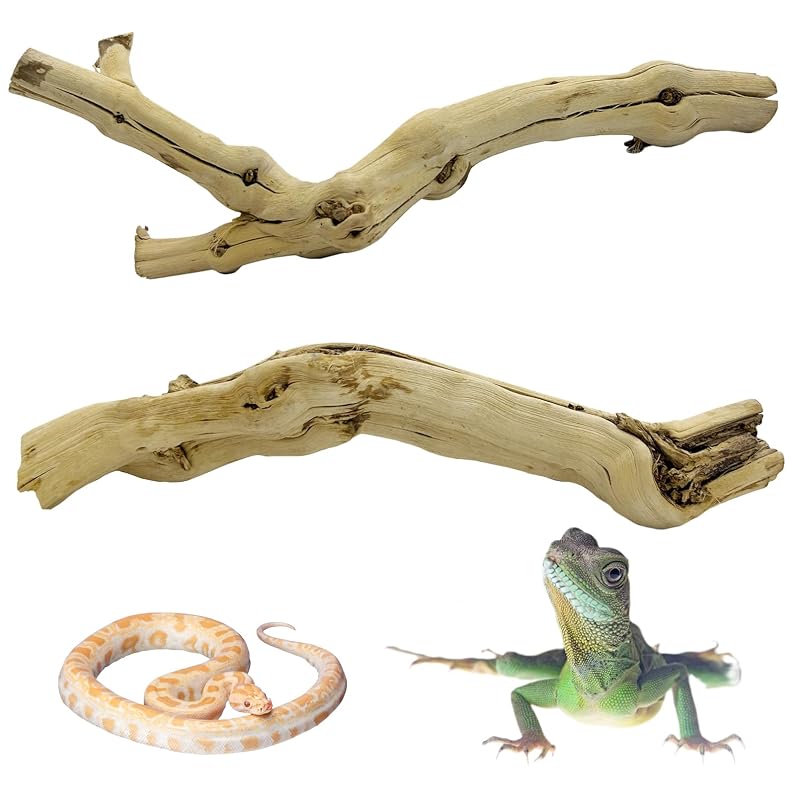 Galhos Naturais para Escalada em Terrário Apatal KA064 em Madeira Overlord Rattan, 2 Unidades de 30 a 35 cm