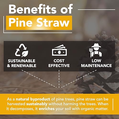 Miniatura 3 de Paca de paja de pino prémium para paisajismo, material orgánico hecho de auténticas agujas de pino, ideal para jardinería, retención de humedad del