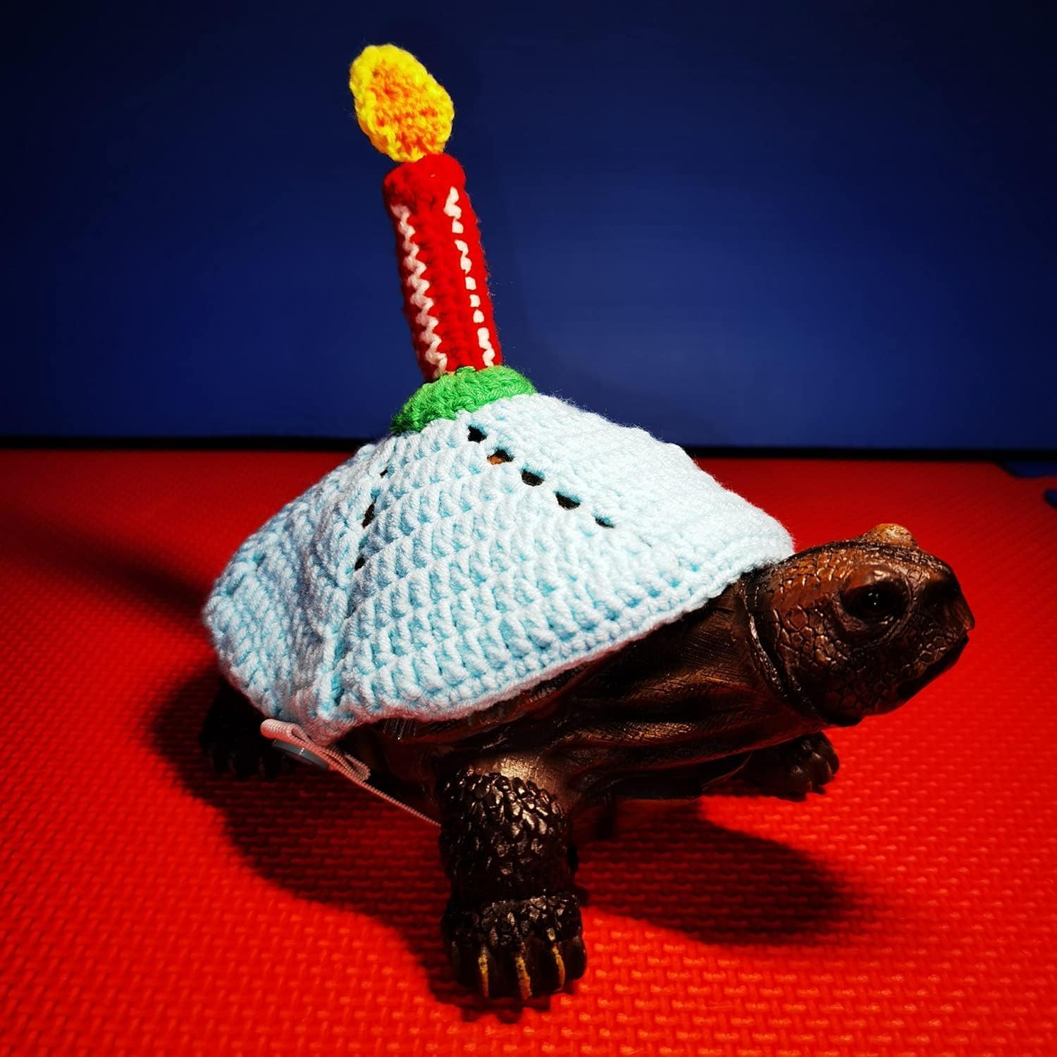 Turtle Sweater Cosplay Clothes Handmade Winter Warm Knitted with Adjustable Strap Small Animal Sweater Tortoise Apparel for Christmas Halloween Party Photo Shot (12 Inch,Birthday Candle)