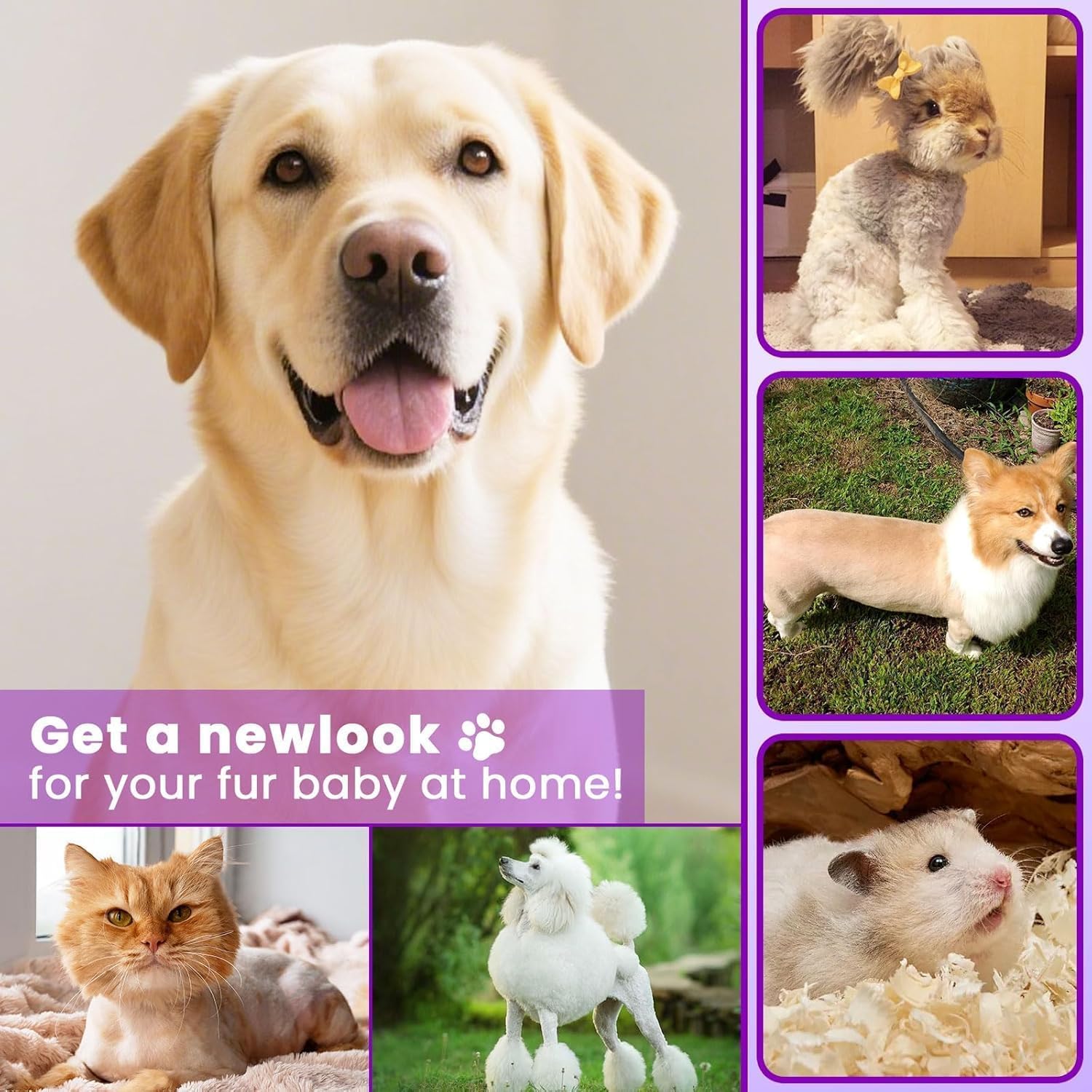 Veeconn Kit per la toelettatura di cani e gatti, 4 in 1, impermeabile, a basso rumore, ricaricabile, senza fili, per uso domestico (lavanda)