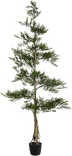 Vickerman Everyday Artificial Potted Cedar Tree 6ft Tall - Natural Green Cedar Decor- Indoor Home Office Faux - Christmas Or All Season Decoration