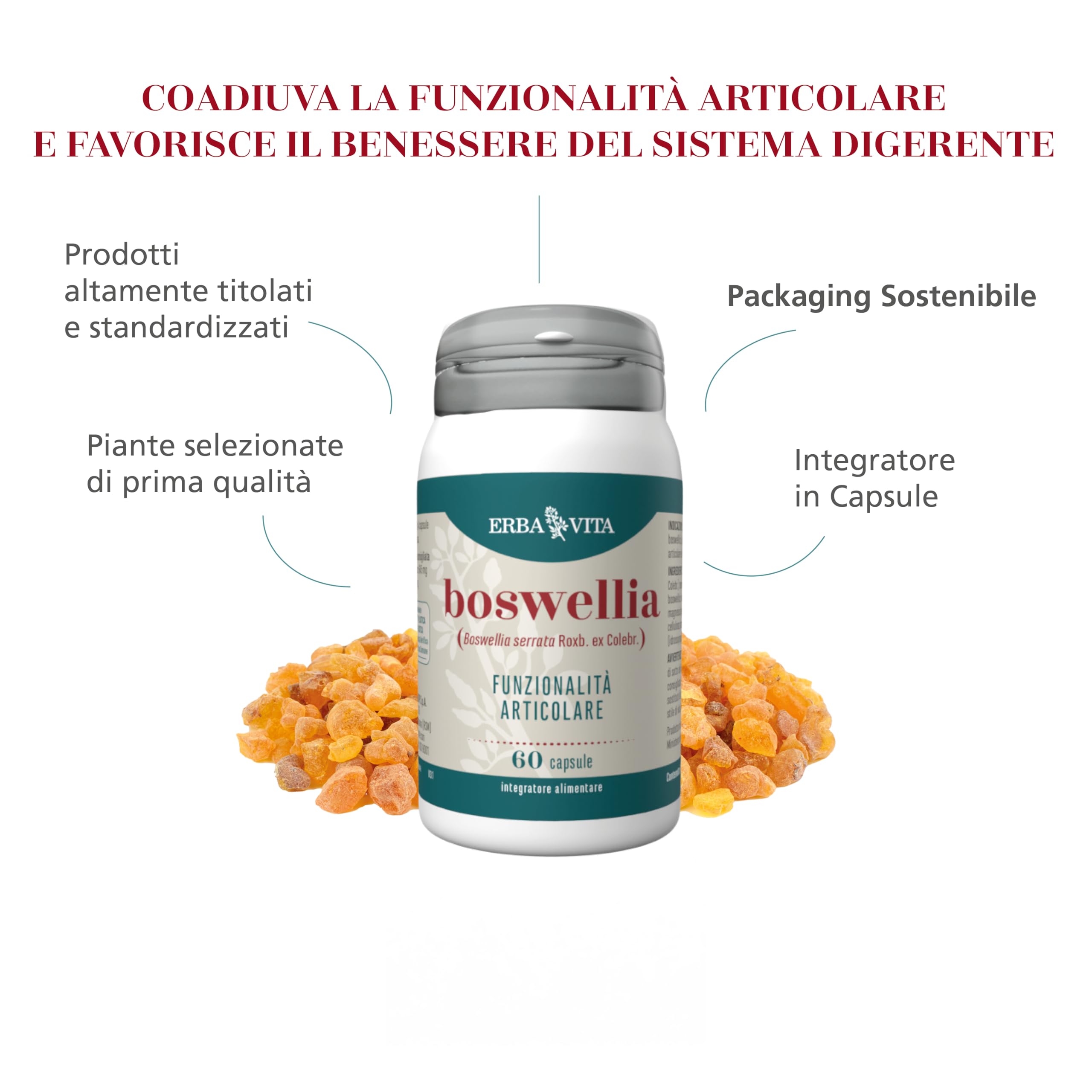 ERBA VITA Integratore Alimentare di Boswellia Serrata - 60 Capsule - Favorisce la funzionalità articolare e il benessere del sistrema digerente