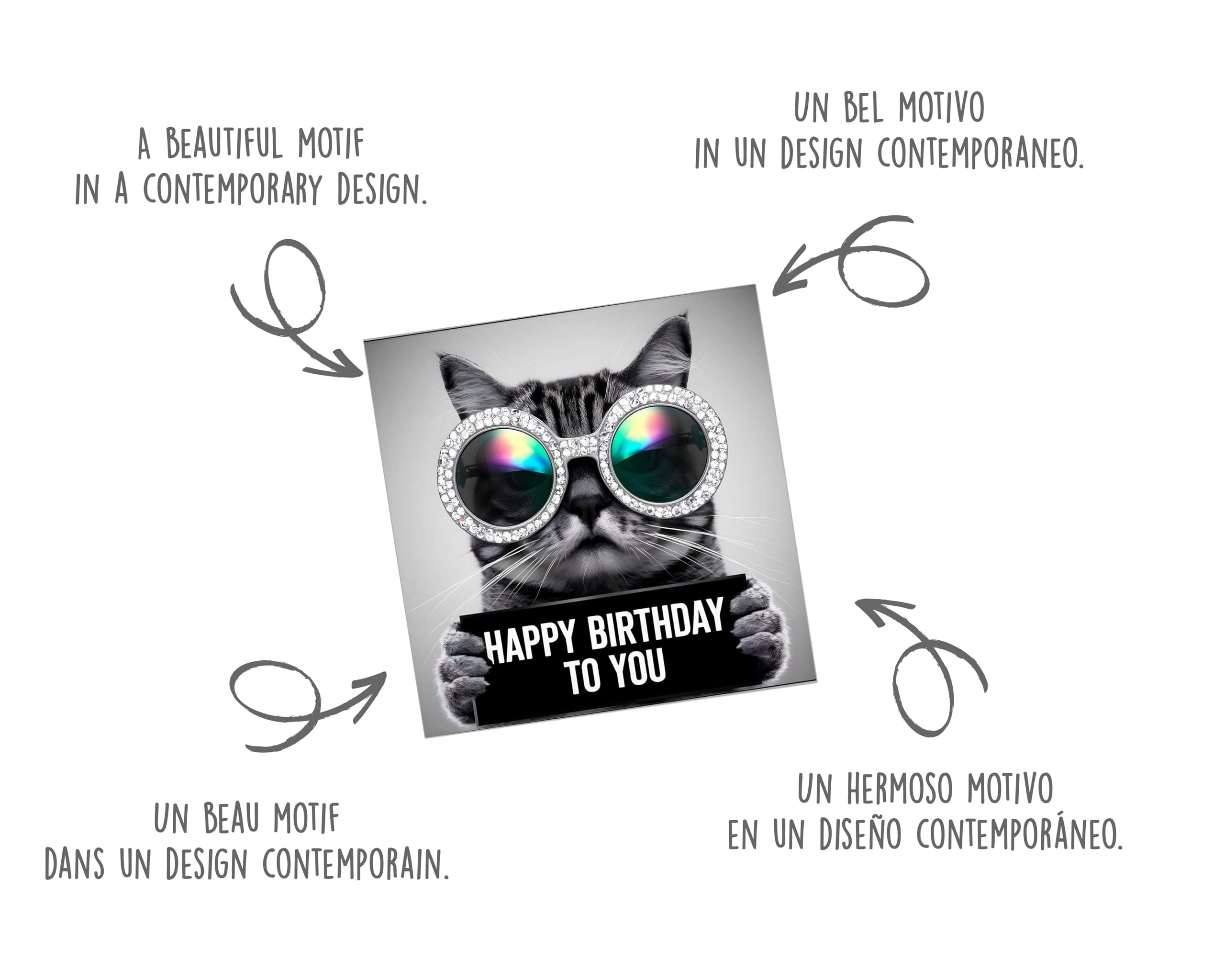 Edition Seidel Biglietto di auguri di compleanno quadrato con busta. Happy Birthday Billet animal card uomo donna cool mucche mmorismo divertente party (GQ168 SW024