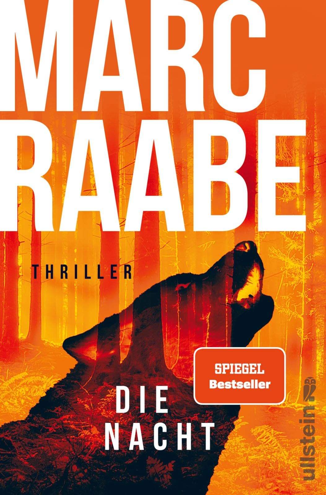 Die Nacht: Thriller | Der Spiegel-Bestseller - hochspannend, fabelhaft gebaut und meisterhaft erzählt, von Marc Raabe!