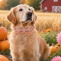 Vista 63 de Maca Bates Fall Maple Leaf Dog Collar with Sailor Bow Tie for Extra Small Girl,Boy,Autumn Foliage Puppy Collars with Bowtie Breakaway Adjustable