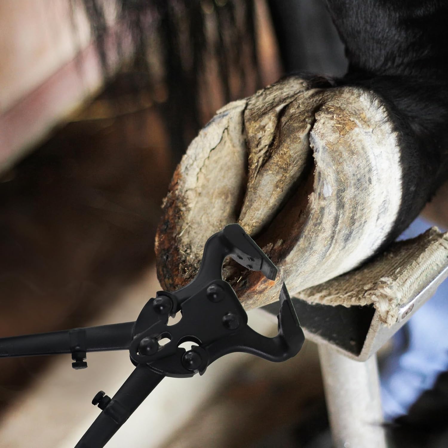 Stainless Steel Functional Cow Hoof Trimmer Pliers, Horse Hoof Nail Remover Tool, WearResistant Durable Hoof Nipper for Cattle Horses Goats Sheep Farm Livestock Veterinary Tool Equipmen (16.7in)